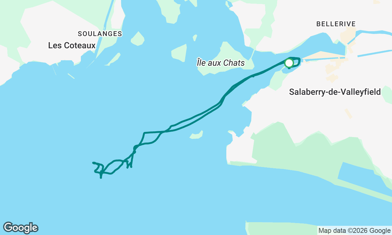 Brevet élémentaire jour 4!