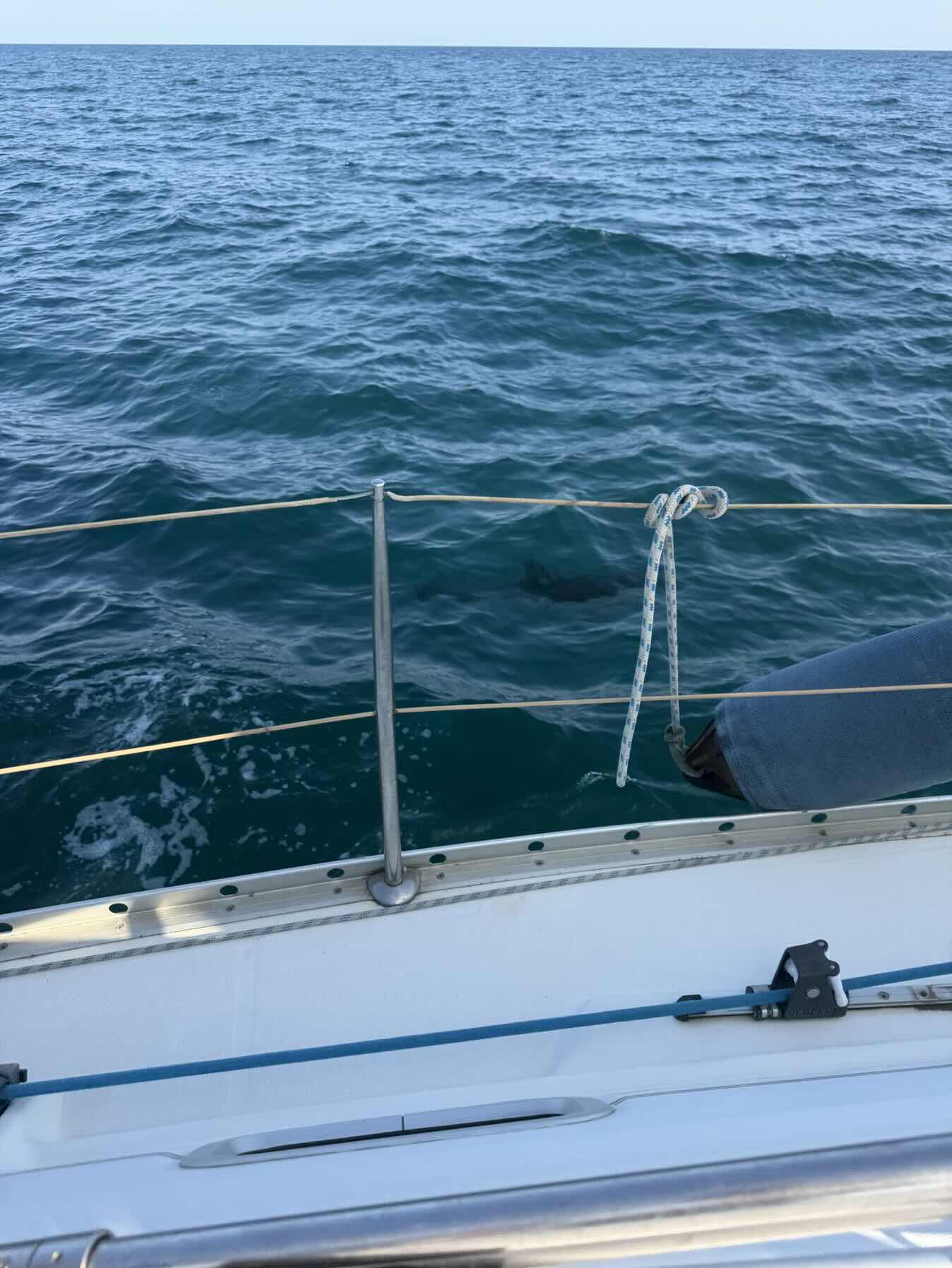 Sail training session_FE25E6C8-9A2E-4F60-9DD2-40710F5F8E87
