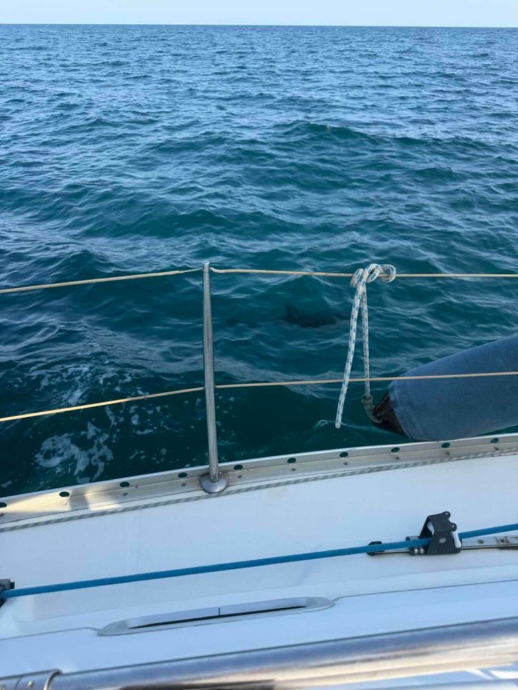 Voyage photo from Sail training session