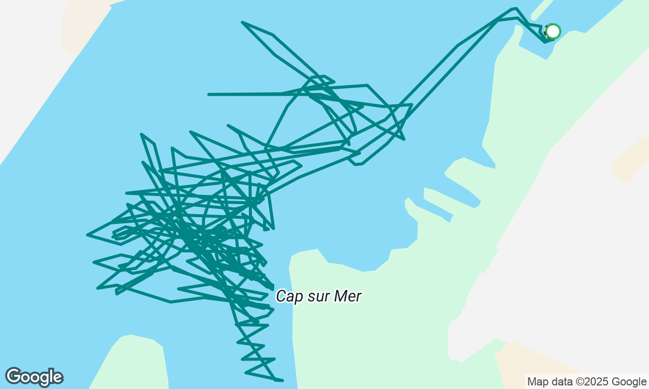 Sortie #2/4 brevet élémentaire Ohana
