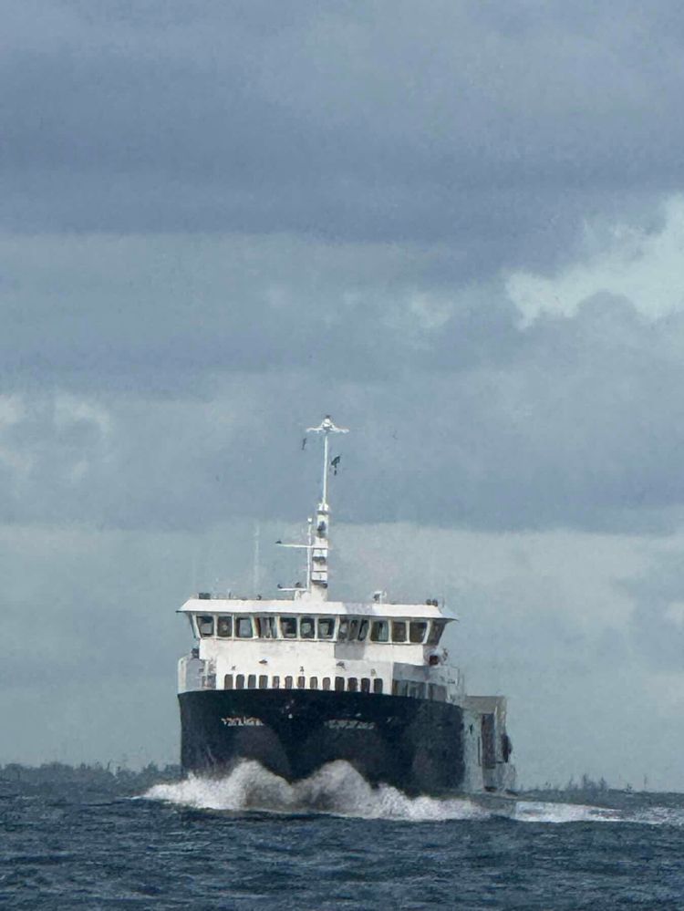 Voyage photo from San Juan Baby