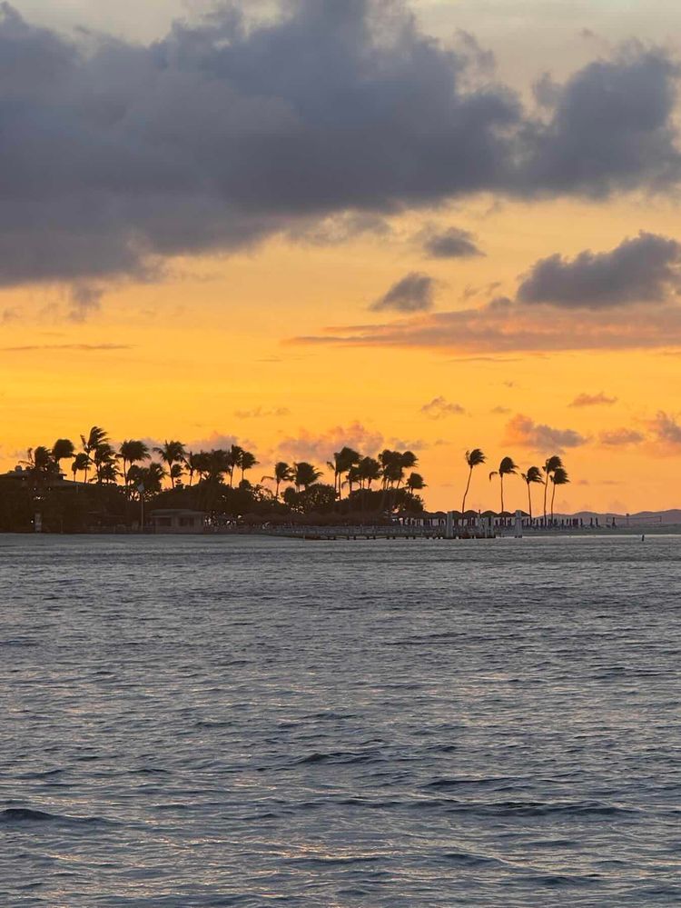 Voyage photo from San Juan Baby