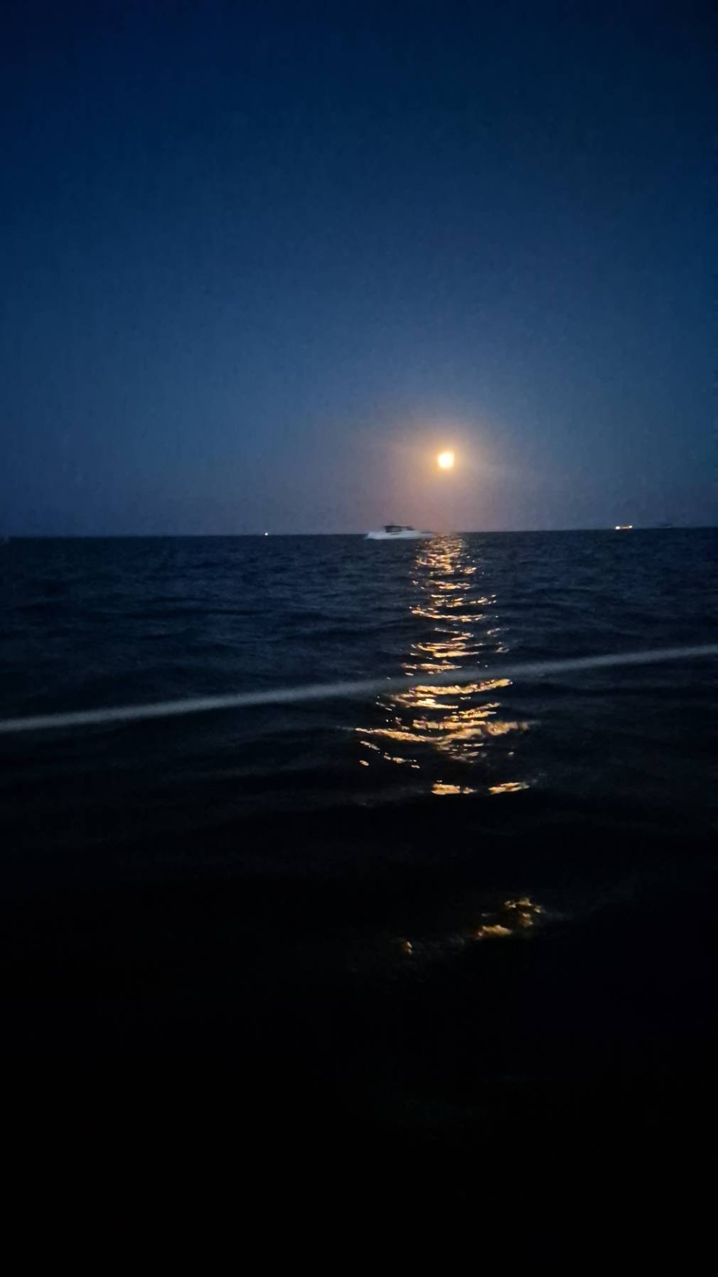 Voyage_E3195B98-DF73-4F0B-83A6-1F238B531875