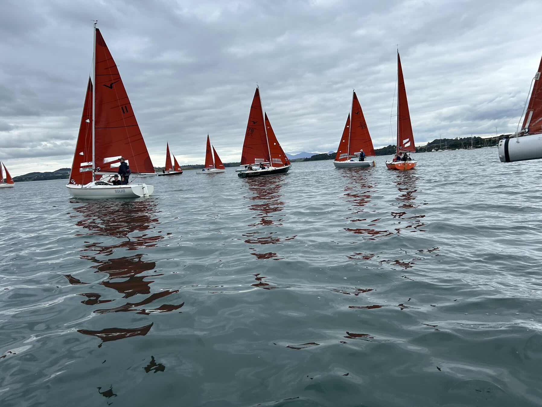 Squib nationals _2F47B3DC-FF97-4F90-90E4-260911EF4DE2