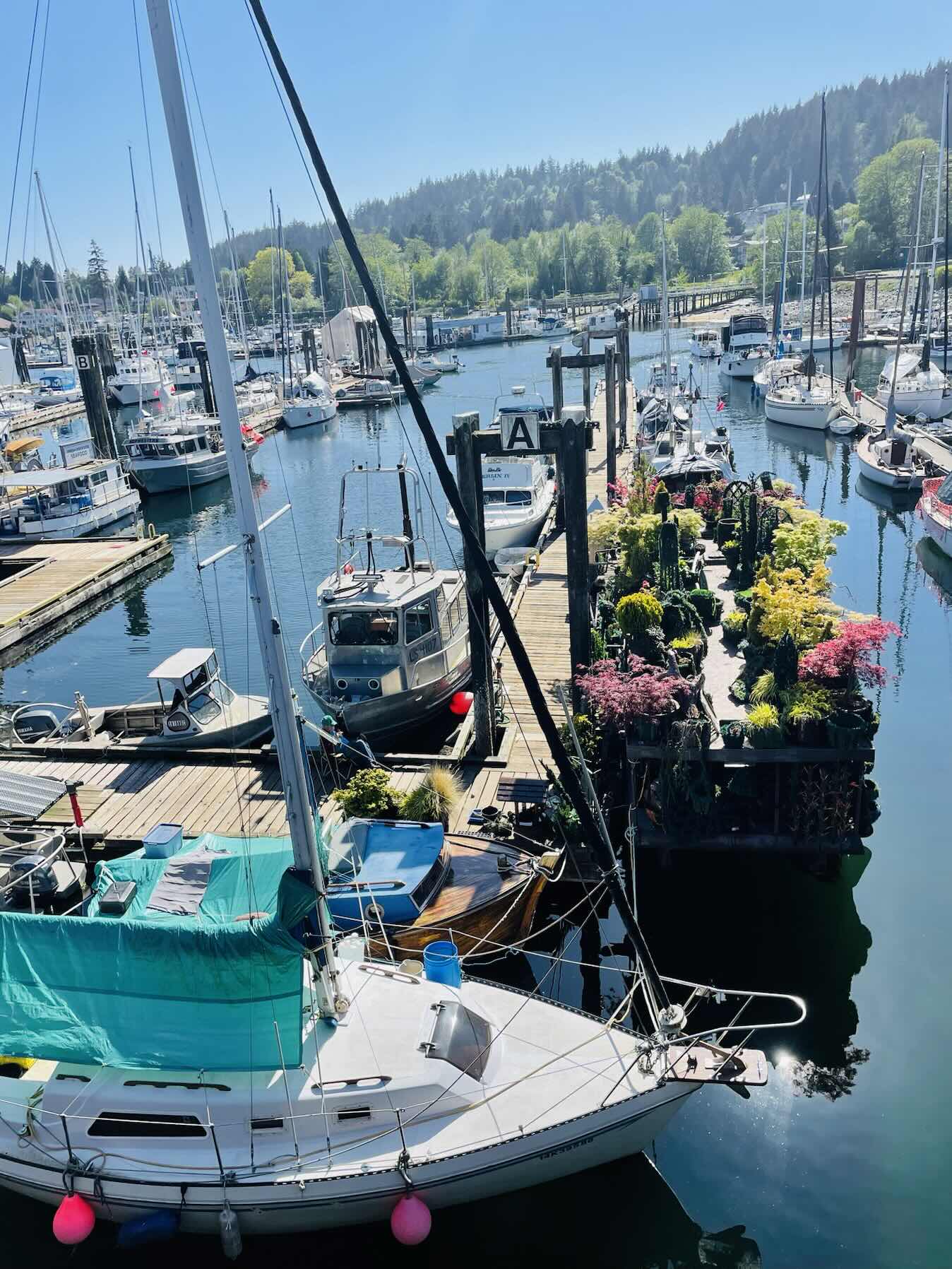 RYA Day Skipper Day 4: Silva Bay to Gibsons_AB829CF1-7F8F-444C-B948-AED90A8727A0