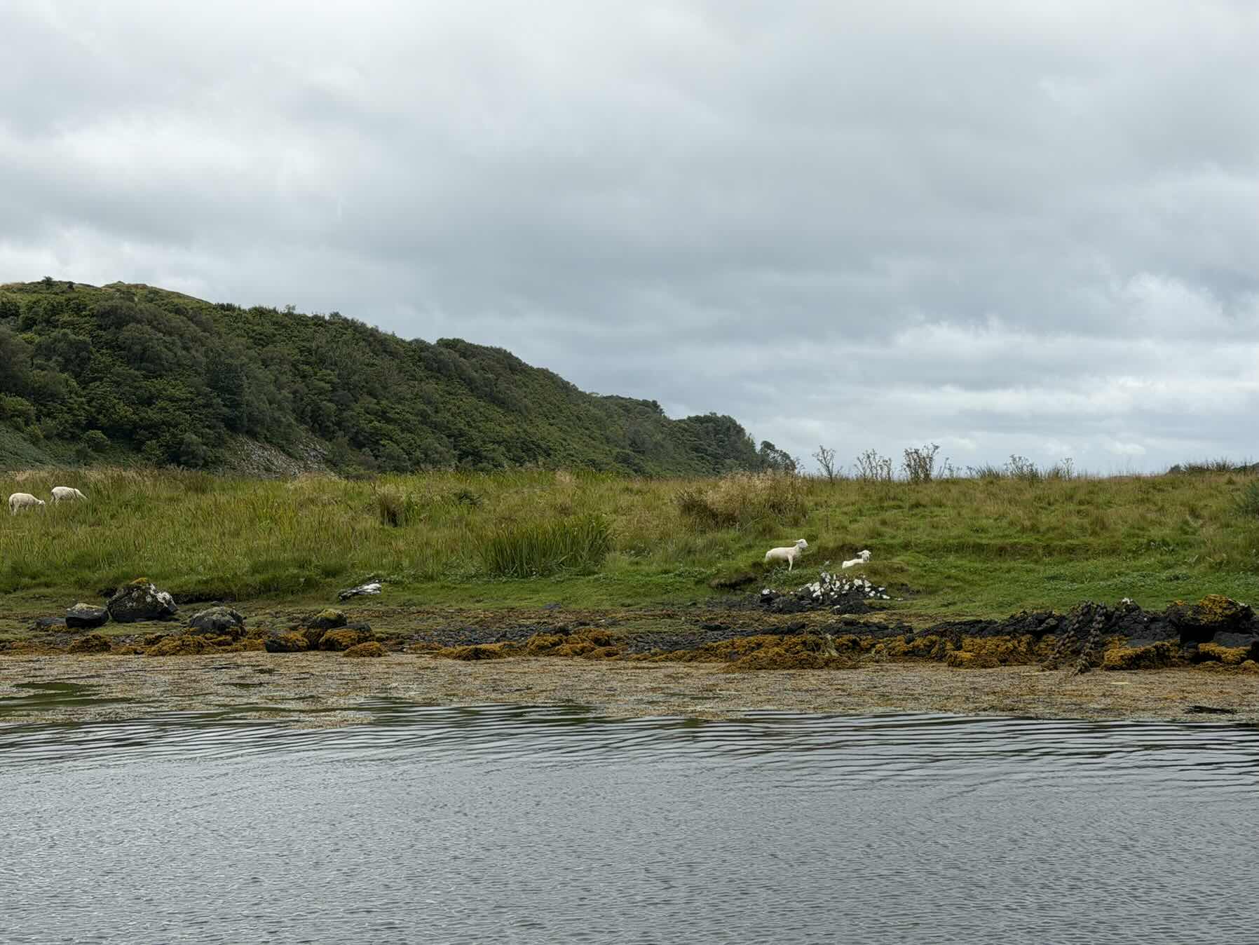 Ardfern to Crinan Canal Basin_0E4AD4CA-628E-4DA4-936D-9ACDFE1FD879