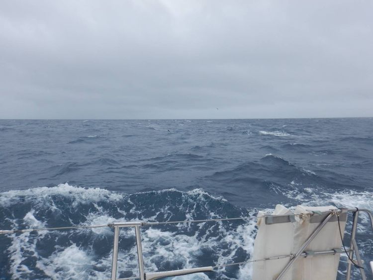 Voyage photo from 251029 Minerva South to Marsden Cove,  NZ