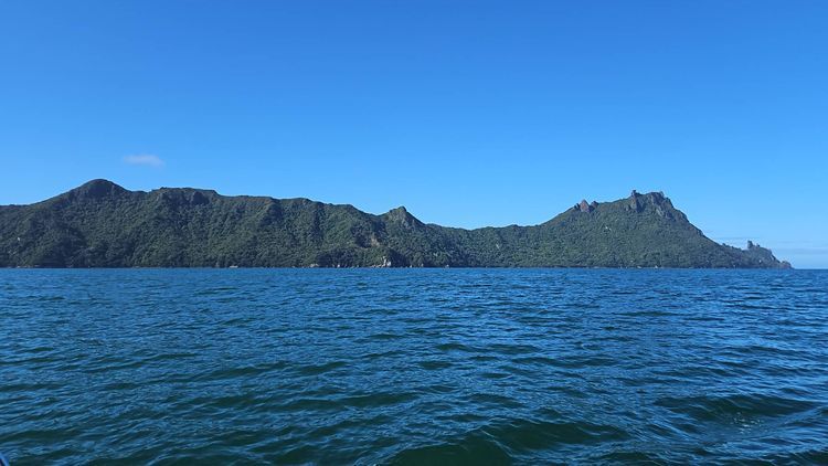 Voyage photo from 251029 Minerva South to Marsden Cove,  NZ