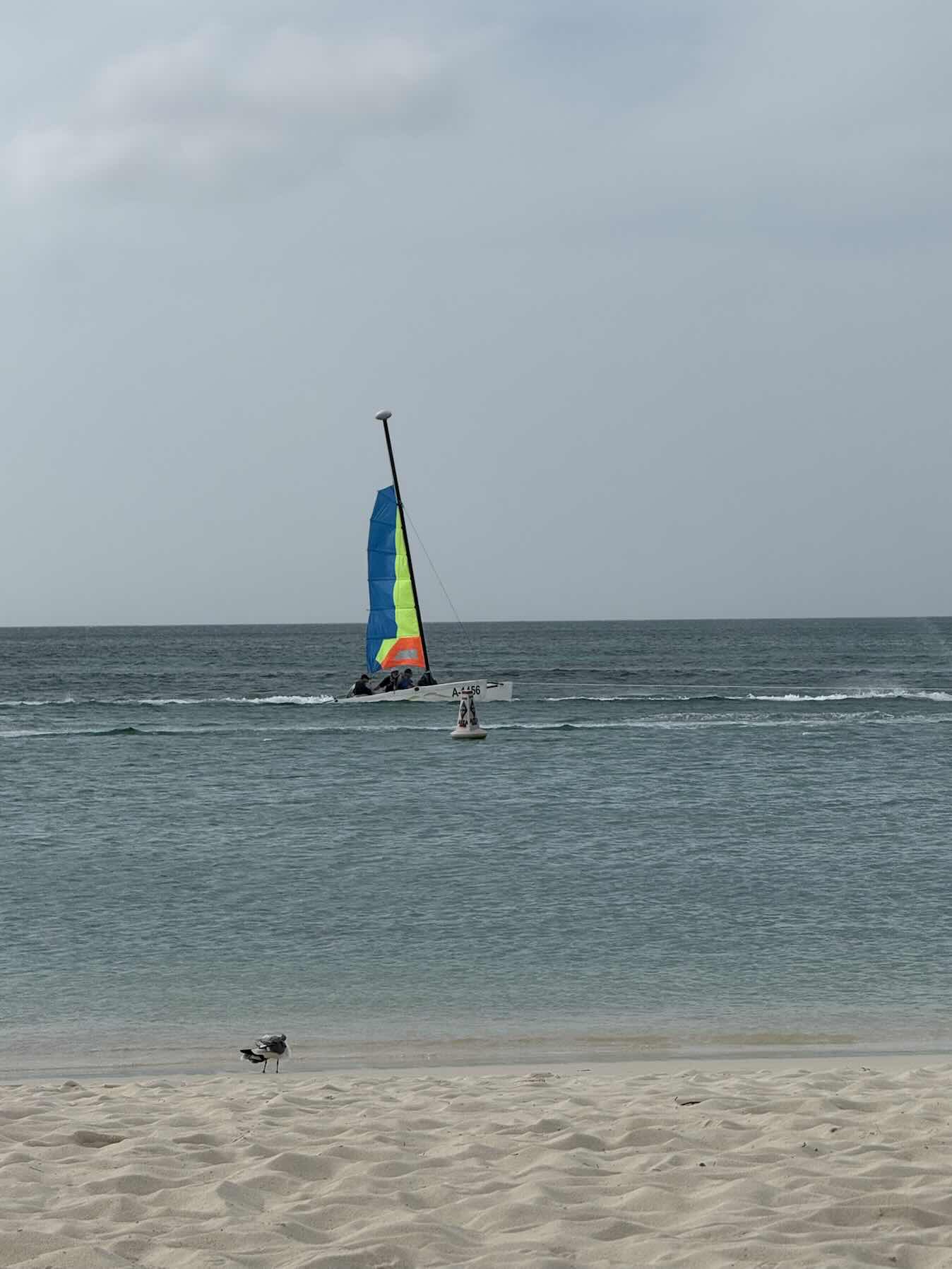 Aruba Vacation_3C0F6380-8EE4-4B92-B5A6-1DA34F8D0824