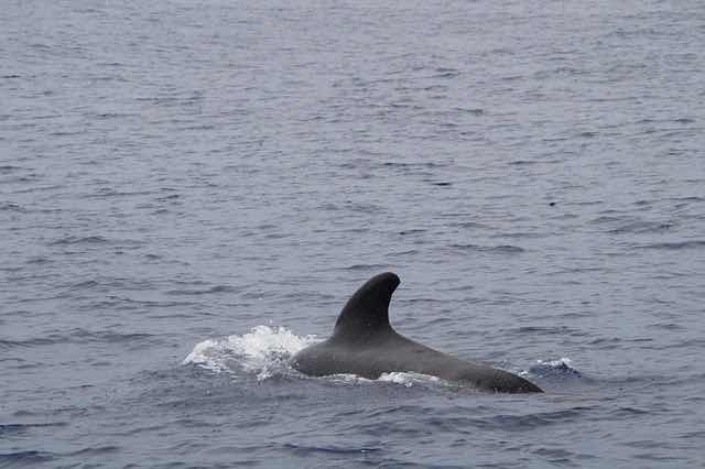 Voyage_3F2314D8-63E8-4602-9875-3C3A7DFCF06C