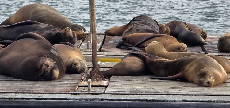 Voyage photo from sp2 with Jewels on 699