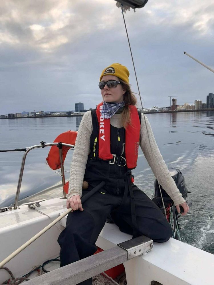 Voyage photo from Hvalur, selur og sólstafir í logni