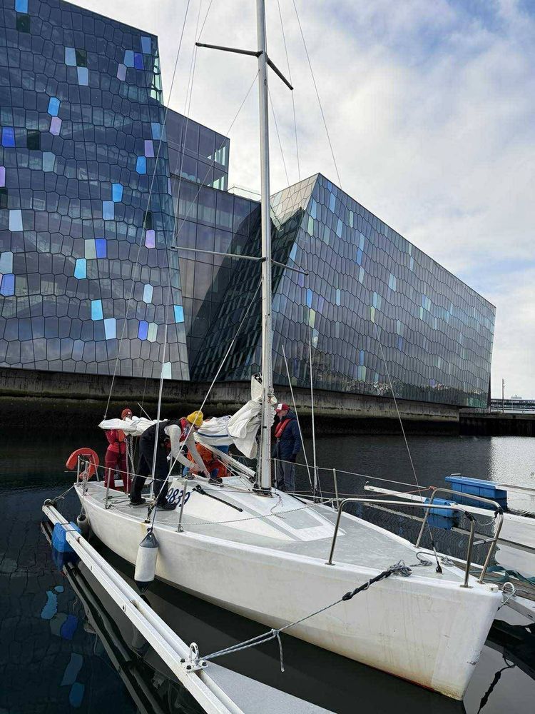 Voyage photo from Hvalur, selur og sólstafir í logni