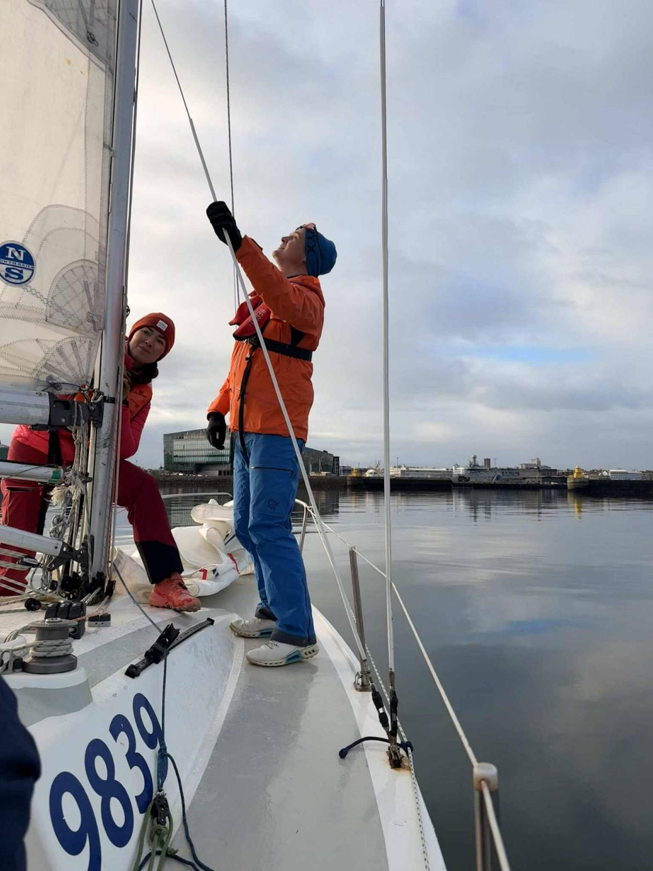 Hvalur, selur og sólstafir í logni_70915E85-058E-4399-895E-135C103132BA