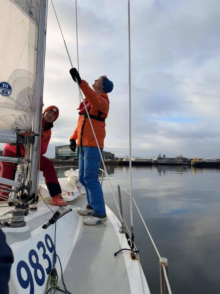 Voyage photo from Hvalur, selur og sólstafir í logni