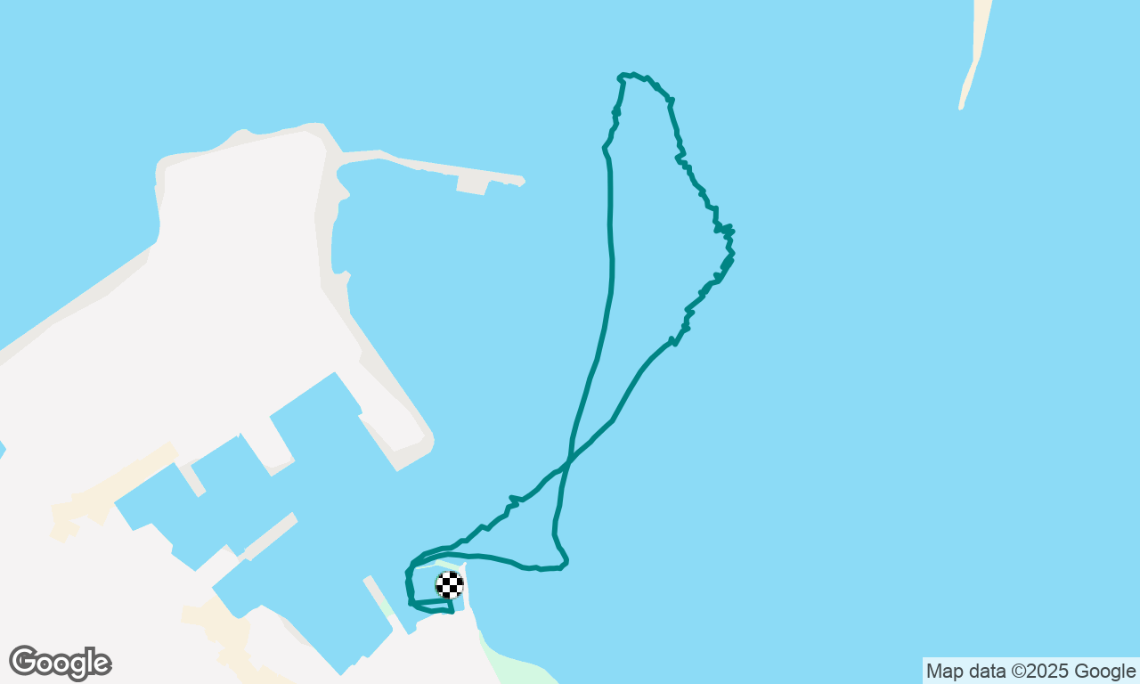 Hvalur, selur og sólstafir í logni