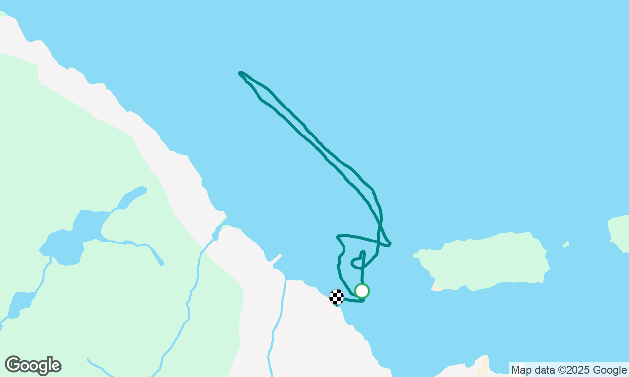 Gentoo sail 2!