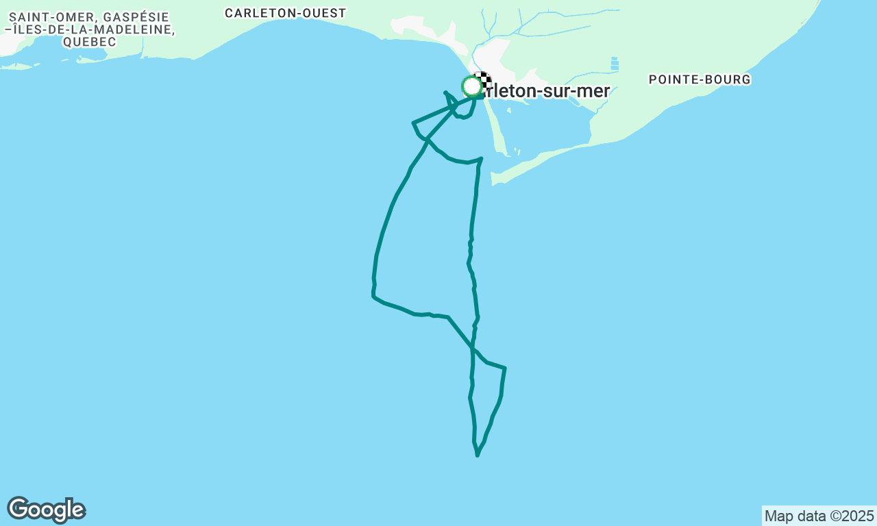 Petite excursion avec Ecovoile dans la Baie des chaleurs. 