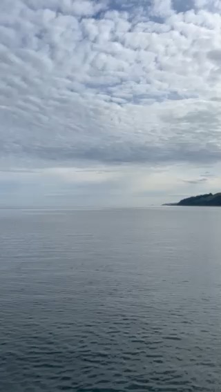 Scotland West Coast 2024_7EA5C1EC-954F-4465-8B1A-F8BBD9550C3F