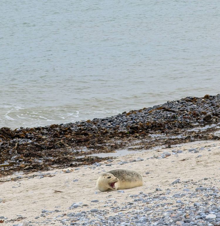 Voyage photo from HL15-25 Tag 3