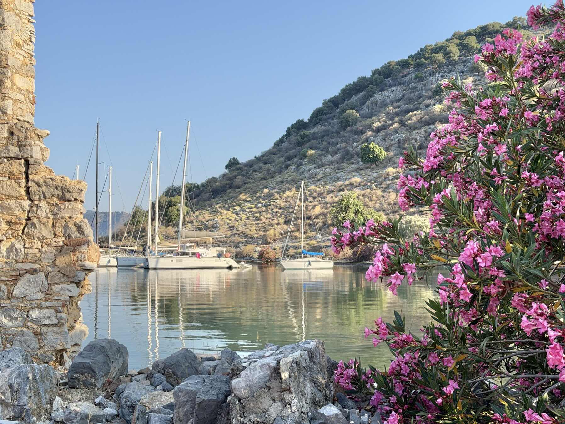 Fethiye 2026_4628D0A2-453B-4B63-BB48-DFF919949578