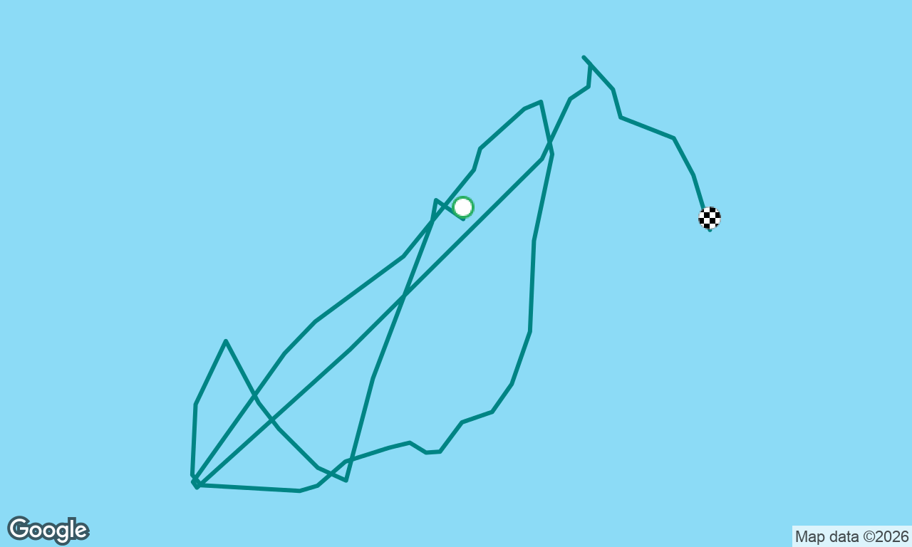 Birthday race
