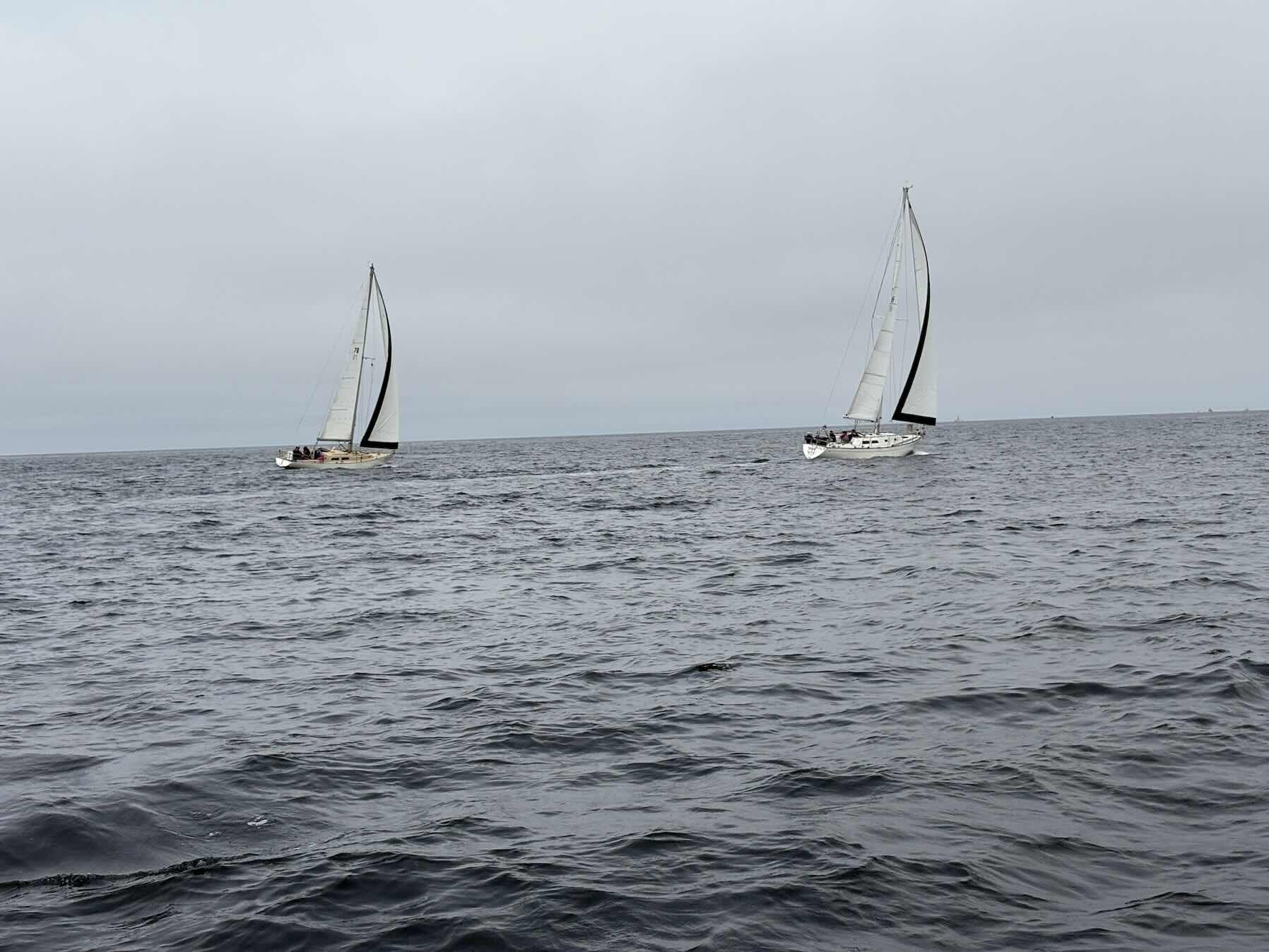 EYC Chowder Cup Race #1_F1E200E3-8E25-4B99-9C8B-22232F44A12C