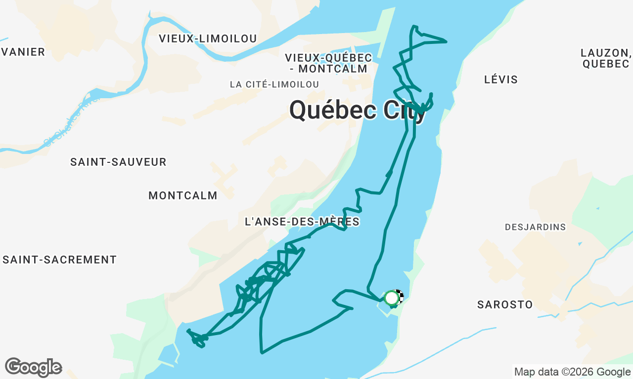 Chef de bord élémentaire (J3)