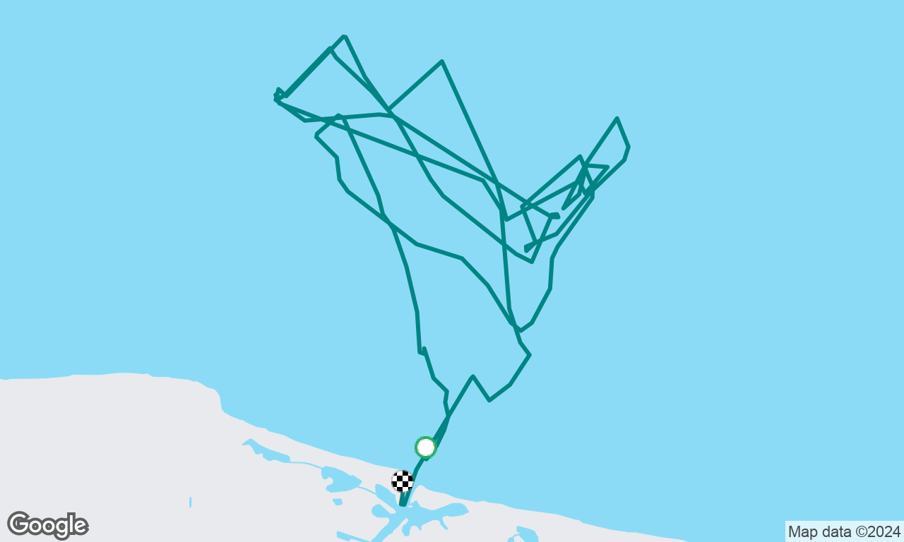 Racing BYC soling 