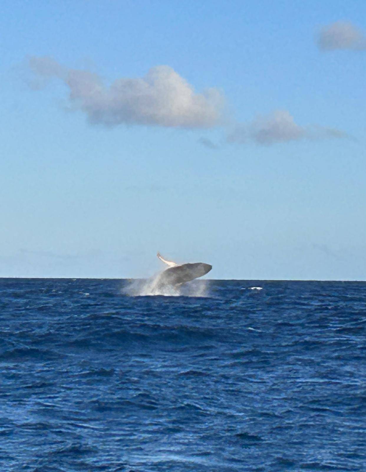 Vanuatu to Mackay_6E76E3C7-F28B-4723-AB7E-685060A57F87