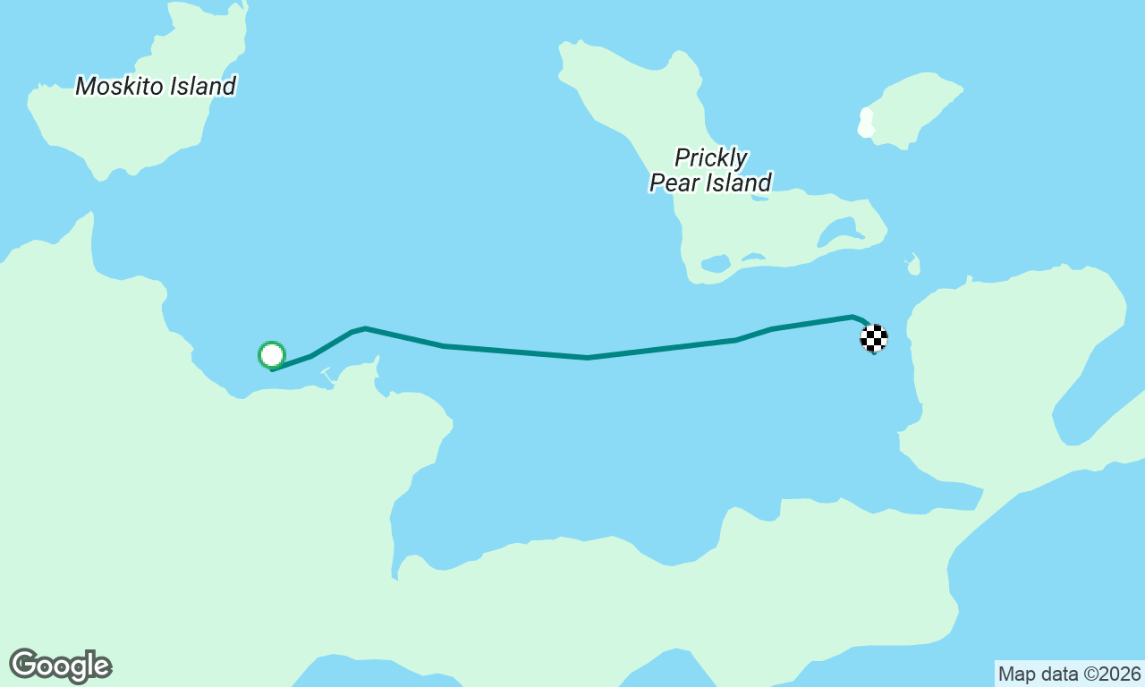 Repositioning Cruise