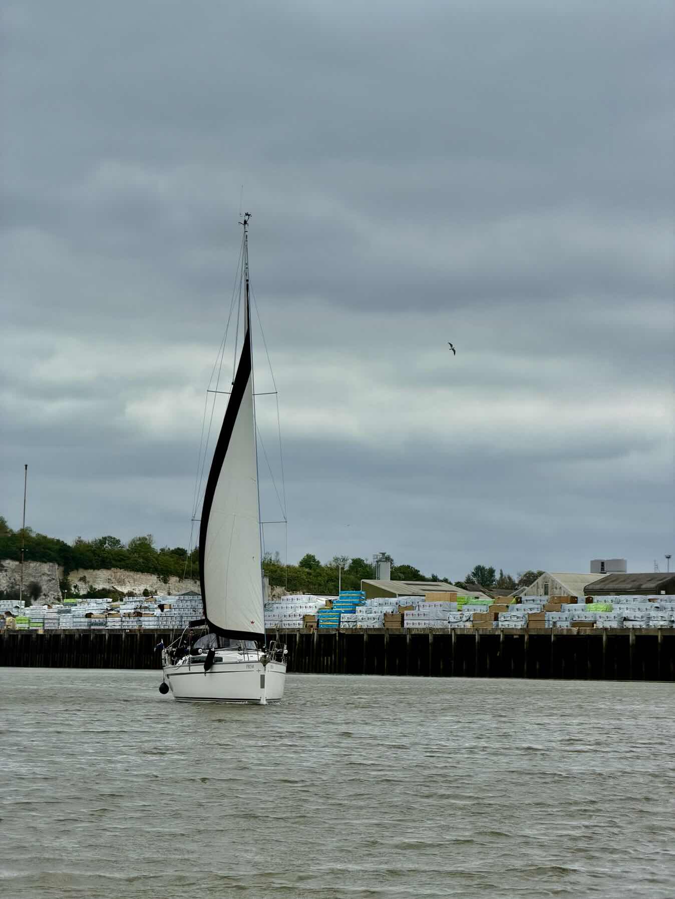 MCC Day Sail_0374205F-D79A-4096-89D3-E99253BB7530
