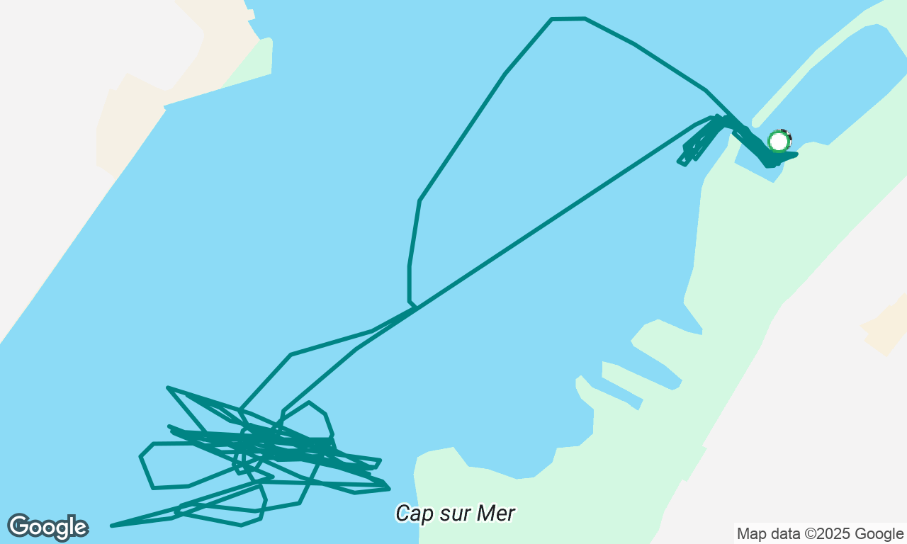 Sortie Niveau 1 