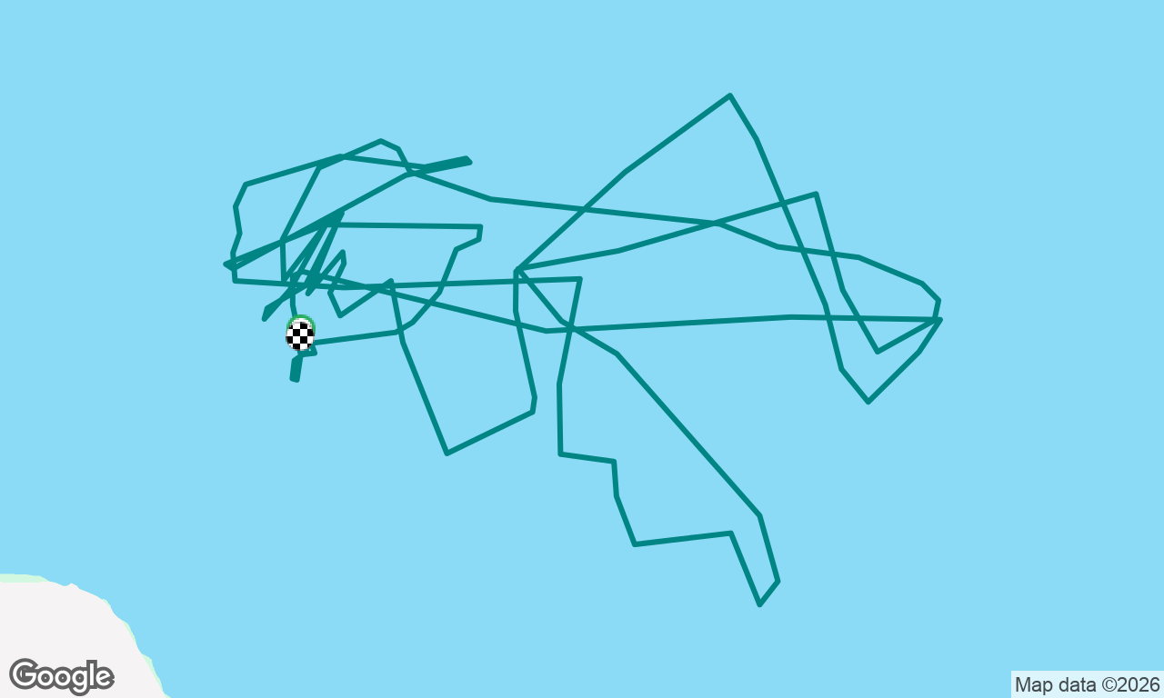 mermaid racing