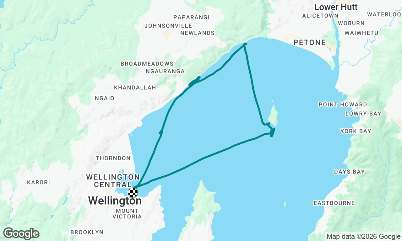 Wgtn Seaweed Survey