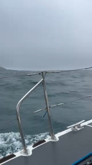 Wales, Ireland, Isle of Scilly and Cornwall 2025_39B9A23D-145F-47F0-A86B-FA3D7542542B