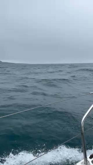 Wales, Ireland, Isle of Scilly and Cornwall 2025_6596BC61-D4E2-43F3-A9C0-6052DE4947D3