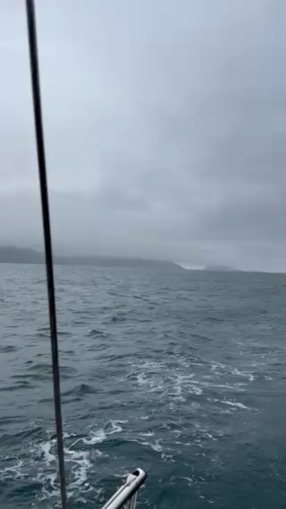 Wales, Ireland, Isle of Scilly and Cornwall 2025_7EC5B87F-3978-40B5-B220-AEF8F30A647C