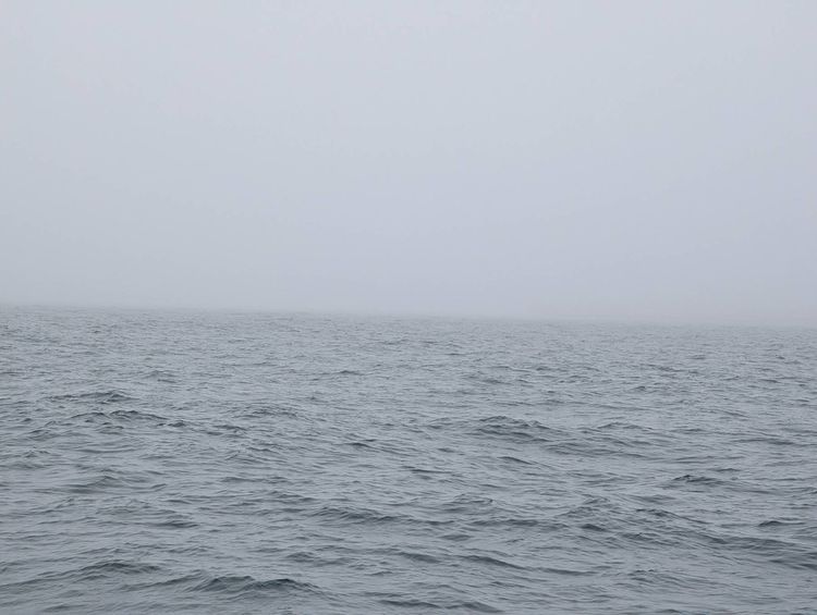 Voyage photo from 