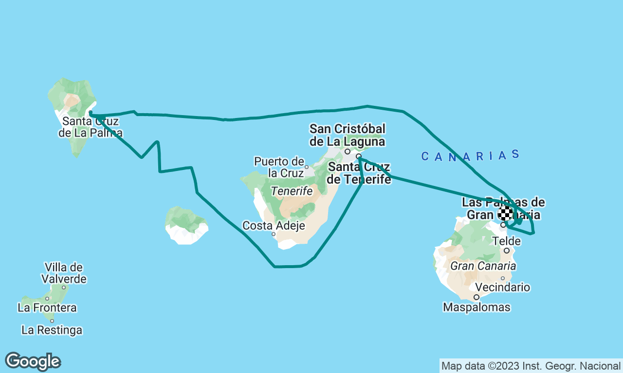 TNS619 Canaries Christmas