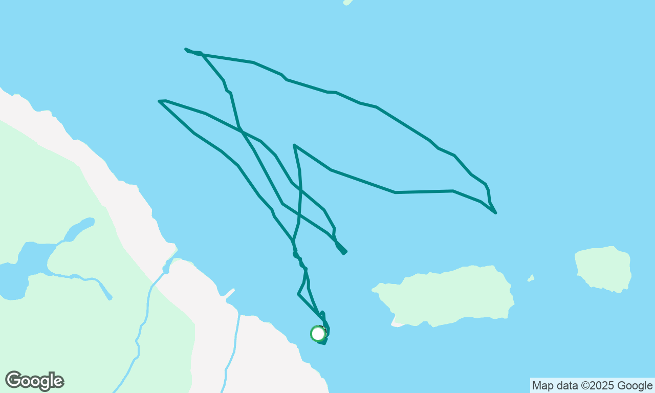 Gentoo sail 