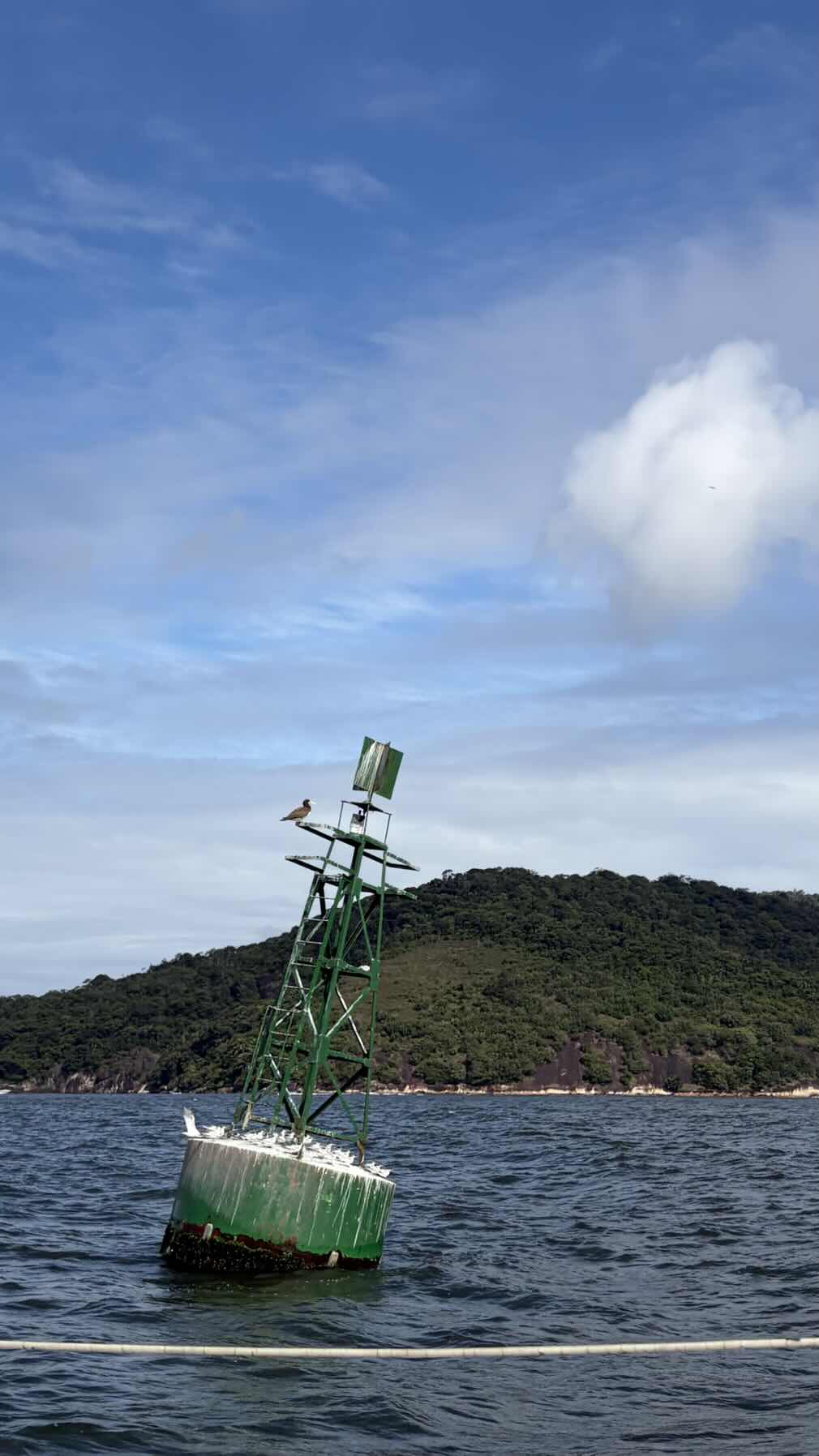 Sailing Class_DA4660CC-668E-4E75-98F2-A8A212AFE6B1