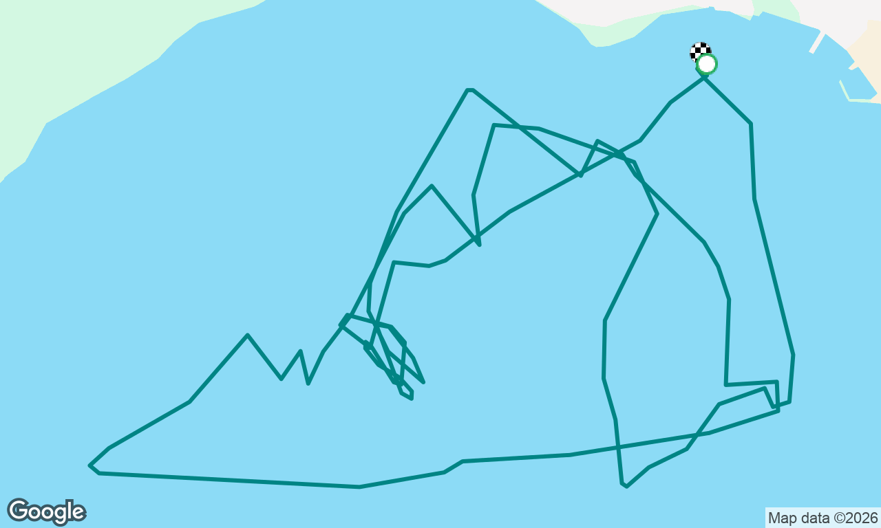 Regata serale la Gardesana