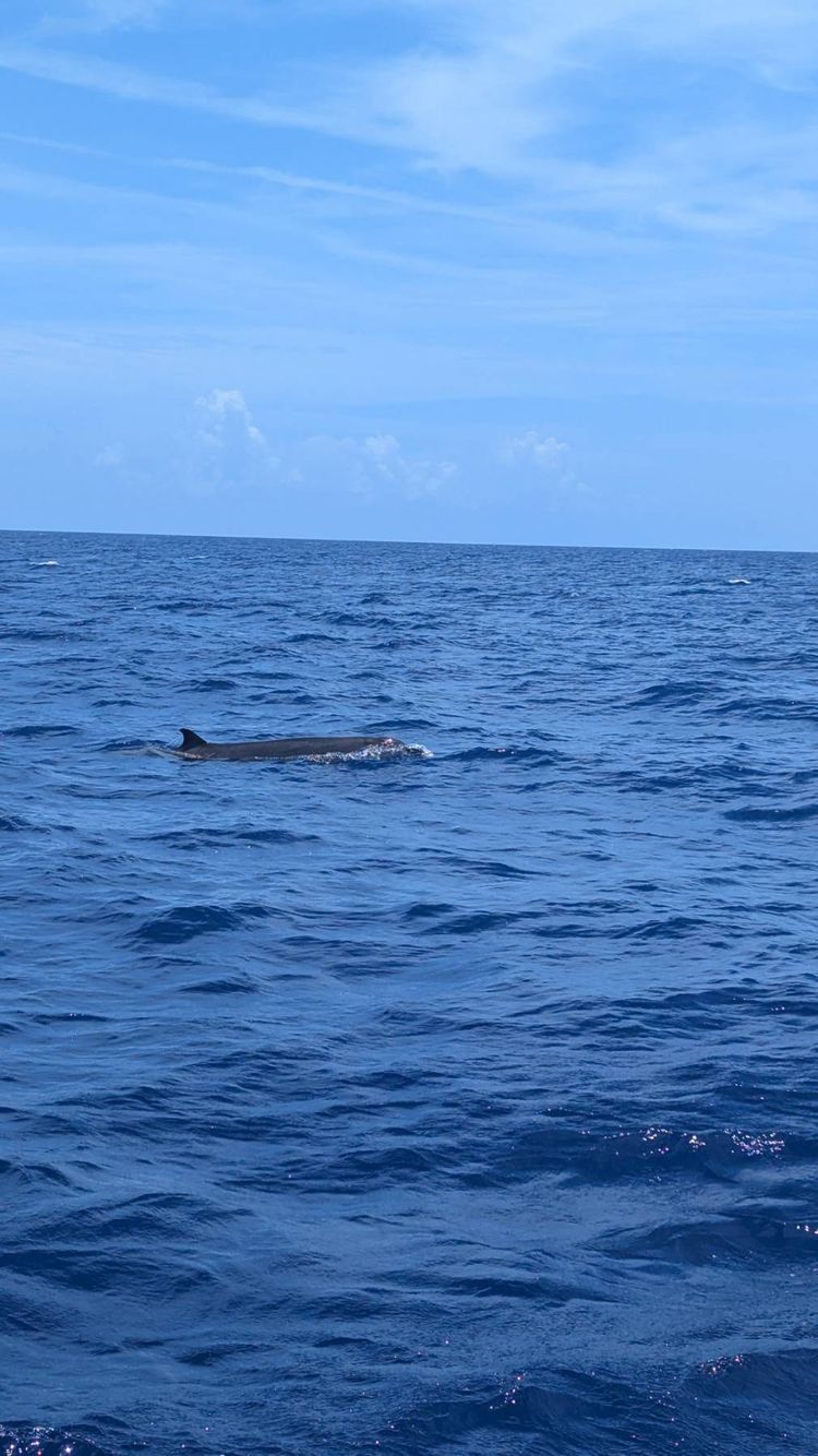 Voyage photo from 