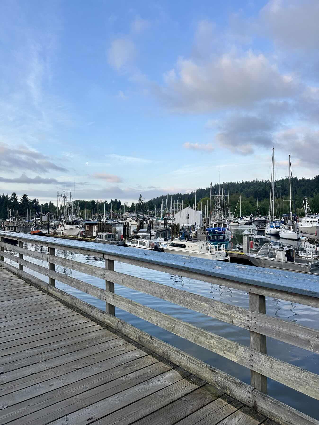 RYA Day Skipper Day 5: Gibsons to Horseshoe Bay _3093FFBB-A3D6-4909-9DE1-09BD09EC283F