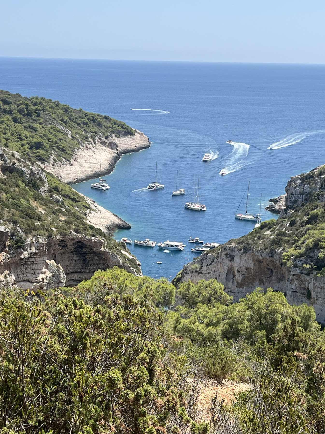 Vis Tour - 🛵🏝️🍷🐙🎥🎞️_72914F87-4244-4033-9A3C-09DE1EDDF1B4