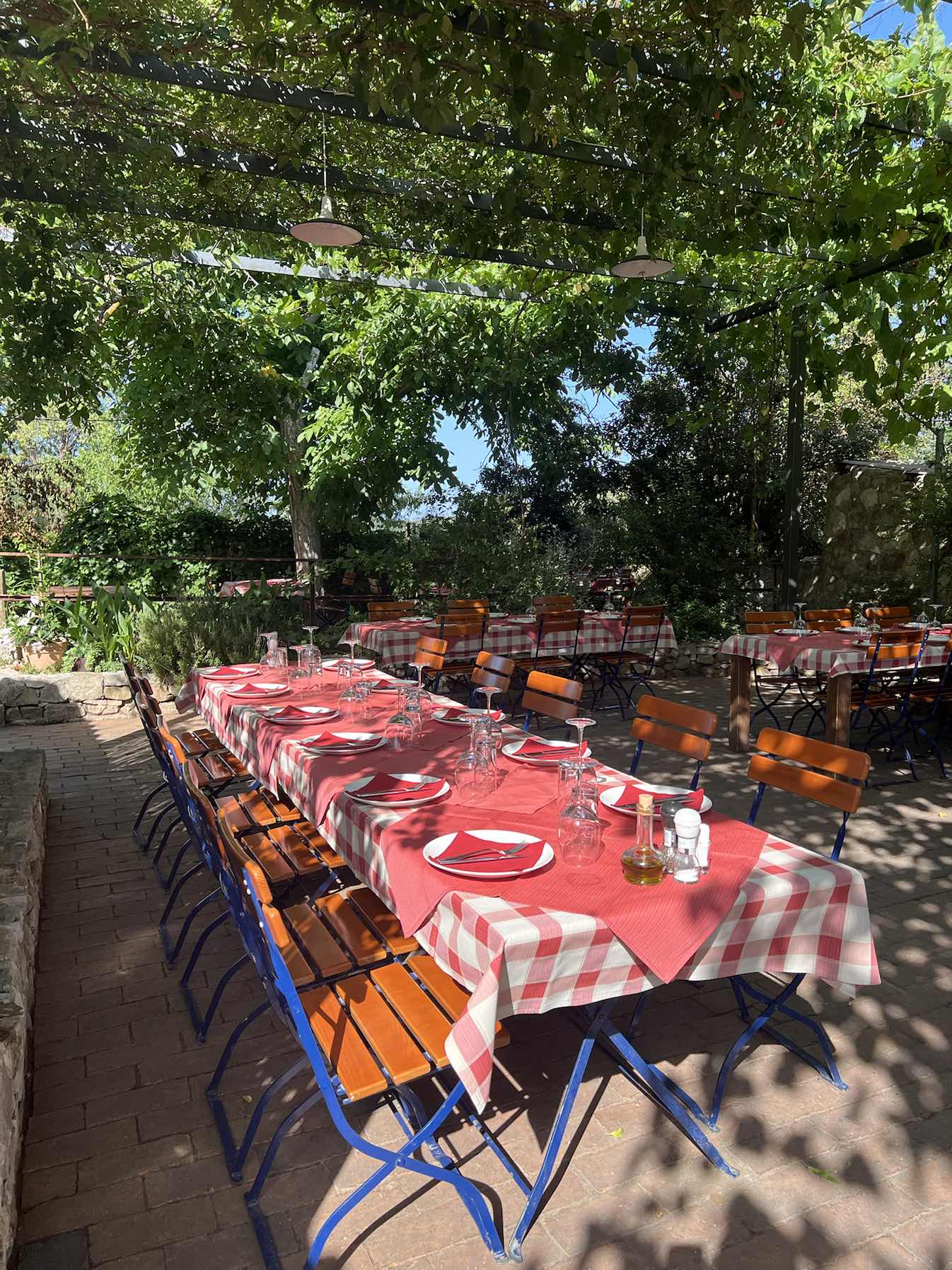 Vis Tour - 🛵🏝️🍷🐙🎥🎞️_E99B8DCF-1107-47A0-B891-7C355BE56455