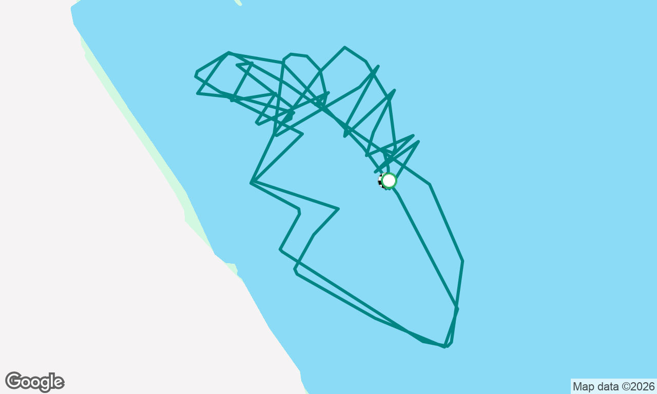 RMYC evening race