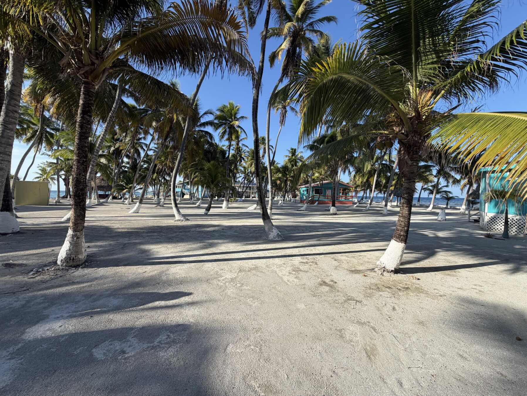 Southwater Caye_9CB56226-7782-4C12-A7B8-28CB8ABFFF0A