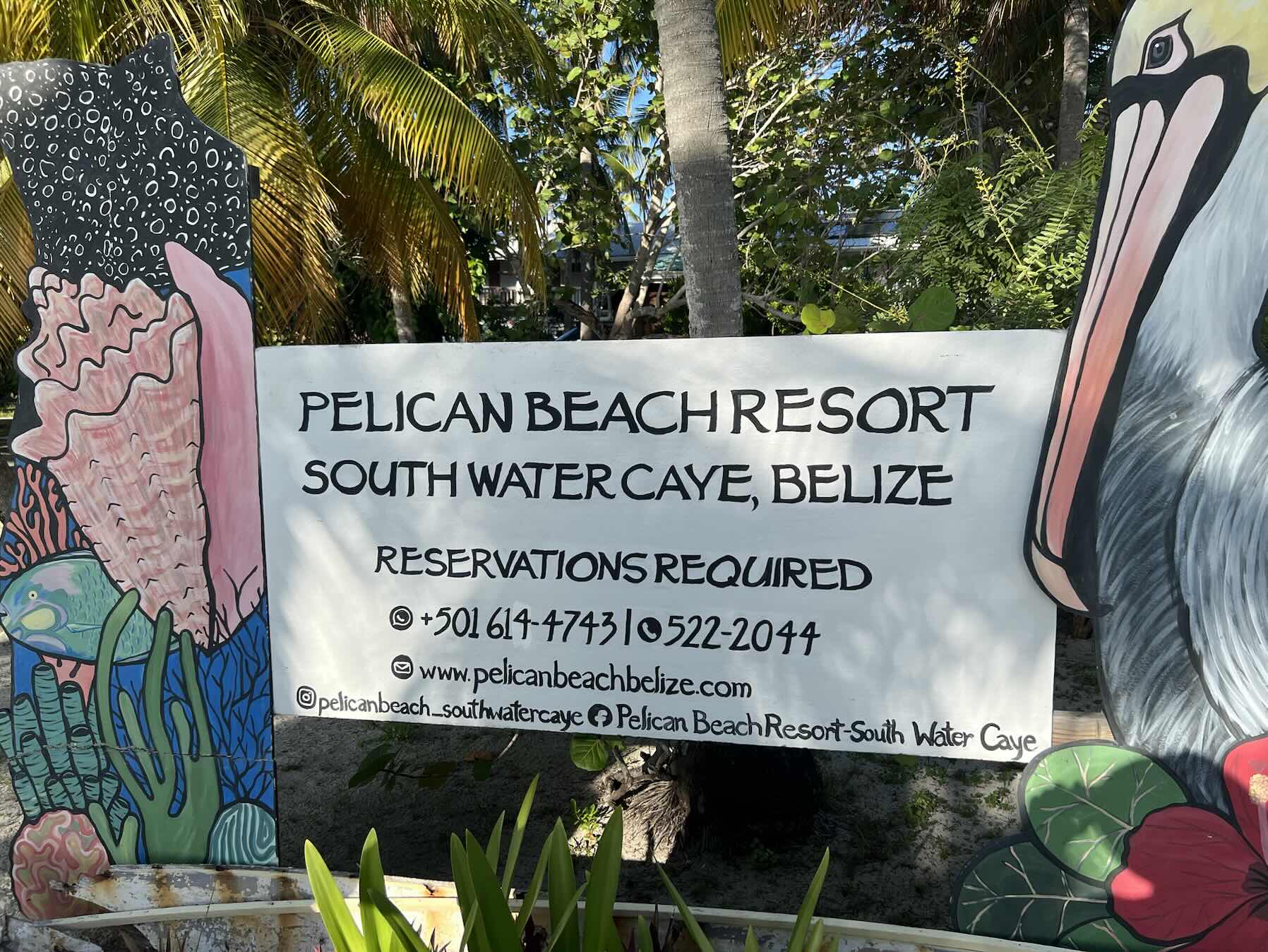 Southwater Caye_EF386260-8586-4B27-B3AA-0AEF5956B672
